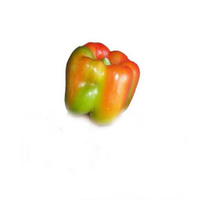 Capsicum Mixed Coloured (Each)